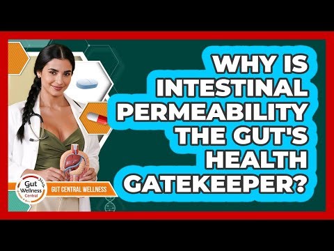 Why Is Intestinal Permeability The Gut's Health Gatekeeper? - Gut Wellness Central