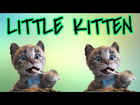 DETSKE ROZPRAVKY PRE DETI A NAJMENSICH o MACICKE, MACKA