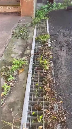 #uncloggingdrains #cuttinggrass #cleaninghouse #satisfying #asmrsleep #asmrsleeprelax #cleaninggarden #camping #tips #cleaningsatisfying #homecleaning #housecleaning #satisfyingcleaning #cleaningasmr #lawncare #lawnmowing #lawnmower