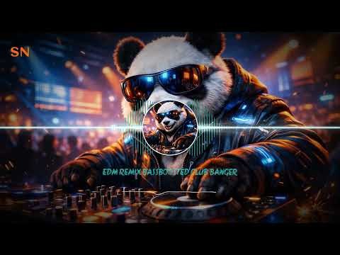DJ PANDA 🐼 Remix 🔥 | SN COOL MIX 🎧 MEGA BASS BOOSTED 💯 EDM CLUB BANGER