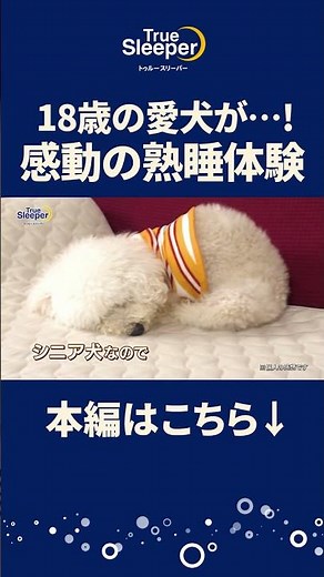 【トゥルースリーパー ペットベッド】ペットの眠りを追求して開発したペットベッド｜ショップジャパン【公式】