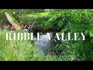 🌳 Discovering A Hidden Water Stair Case In The Ribble Valley England | 4K Walk 🚶‍♂️