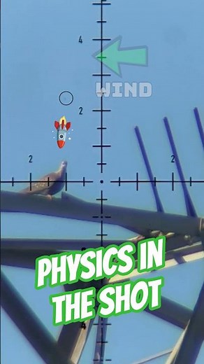 Physics in action | Calculated Ballistics | Wind Hold #fxairguns #hunting #sniper #physics
