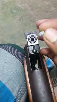 Diana mod 35 Airgun Revew