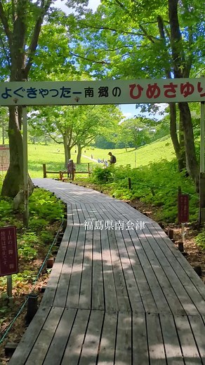 天空のひめさゆり# 高清水自然公園# ひめさゆり群生地# ひめさゆり祭り#