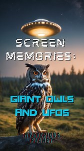 This is one of my FAVORITE topics as it pertains to alien encounters and abduction stories. This is from the Danny Jones podcast where he interview Mike Clelland. Screen memories is when the aliens alter a persons perception or memory of event. Aliens will often use owls as a screen memory. I have also heard of ufo witnesses remembering a hot air balloon as opposed to a ufo. Ever since I heard about the giants owls years ago, I’ve been a slightly weirded out owls. #UFO #UAP #Ufodisclosure #alien