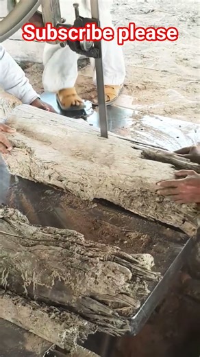 Dangerous wood cutting those who don't know.. #bandsaw #wood #wheelsaw #carpentry #diy