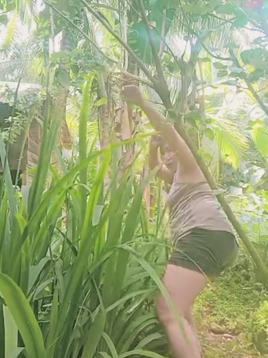 SIAPA YANG MAU IKUT MAIN DI KEBUN 🤭