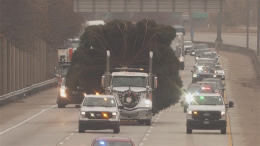 4,700-pound spruce makes two-hour trip to downtown Louisville for the holidays