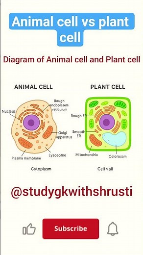 "Plant Cell vs Animal Cell | Easy Science Diagram"📚