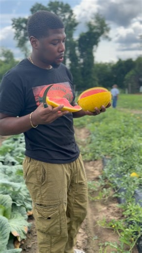 Nevon C. Williams on Instagram: "The Golden Crown Seeded watermelon is back‼️A natural heirloom variety that we grown on my people’s farm in NJ. This was a Tribe favorite last summer and they’re back again. #watermelon #heirloom #bringbacktheseeds #farmlife #farmersmarket #fruit #exoticfruit #exotic #health #healthy #healthyliving #livingfood"