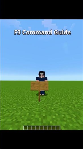 Minecraft F3 Guide EVERY Player Needs To Know! 🧭💥 #minecraft #shorts