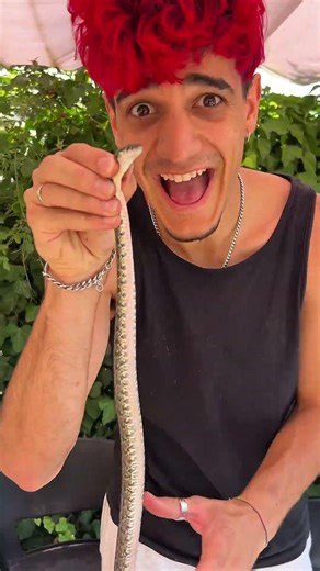I've captured a poisonous snake 😰