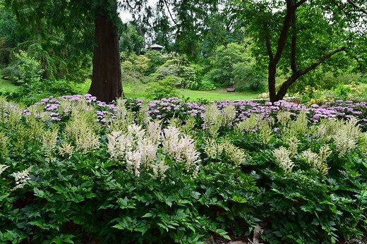 Visit the Seattle Arboretum