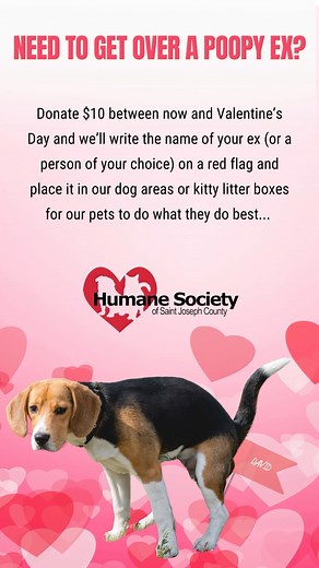 PSA - Poop Service Announcement! | Humane Society of St. Joseph County