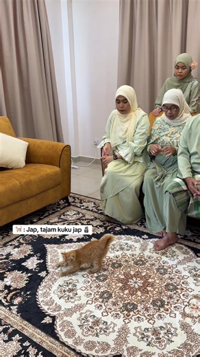 Kucing Oyen Lucu & Aksi Tajam Kuku