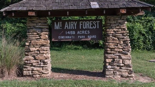 Family 'horrified' by Ault Park deer hunt. This is why Cincinnati Parks allowed it