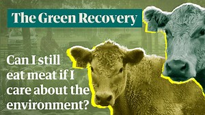 Australians love their red meat. The average Australian eats half a kilogram of meat every week. But meat production has a huge impact on the environment – the methane alone from livestock is responsible for 10% of Australia’s carbon emissions. So can we still eat meat if we care about the environment? Experts say yes, but with some caveats. And there are things that industry and governments should be doing to make meat production more sustainable, too. Read our feature story here #thegreenrecov