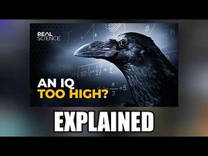 an IQ too high meme explained