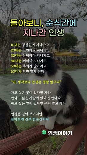 돌아보니, 순식간에 지나간 인생 #한평생 #삶의지혜 #인생무상
