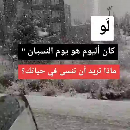 Beautiful Urban Snowfall Scenes Captured on Video