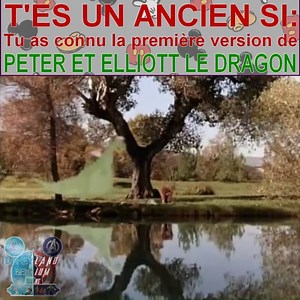 215K views · 6.4K reactions | °o° Anniversaire DBF - FR °o° C'est...