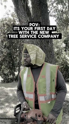 First day with the new tree service company