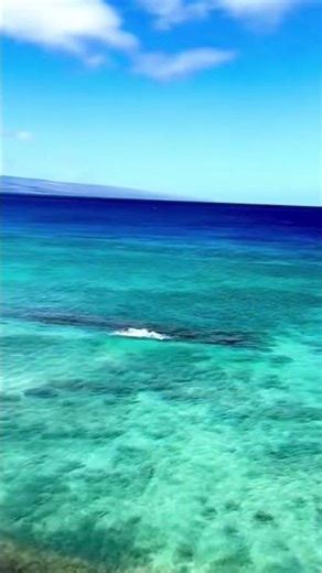 Maui Hawaii Paradise 🌴 | Most Beautiful Beach in USA #Shorts