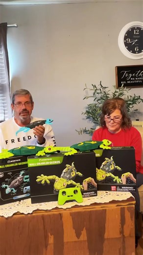 Wall Crawler Gecko, Winktoys Remote Control Toy, Electric Lizard Toy with LED Glowing Eyes, 360° Spin, Animal Toy, Fun Indoor Toy, Gift Idea, Party Toy, Cool Gifts, Family Fun