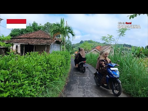 village life in indonesia, rural village life in indonesia walking 4k,