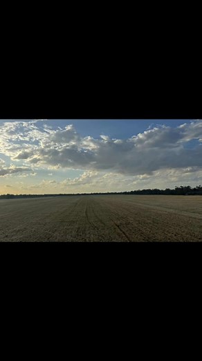 23 reactions | Back in the cab , cracking on with some spring crops  #maxheathsilage #agriculture #silageseason #farming | Maxheath Silage | Facebook