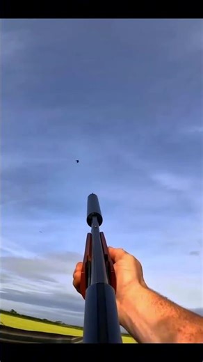 Crows Hunt Amazing shot Ever #crow #Hunt #Birds #birdhunt #besthunting #crowhunt