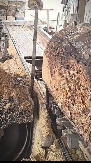 26K views · 244 reactions | Big wood processing #woodworking #sawing #machines #woodcutting #tools #vibes #foryoufage | Sambass AR | Facebook