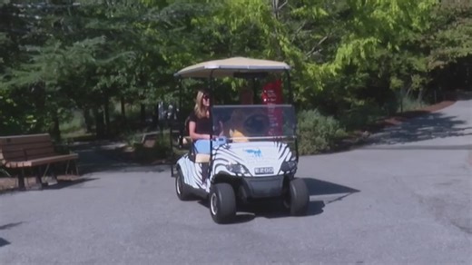 You can travel by golf cart at the North Carolina Zoo
