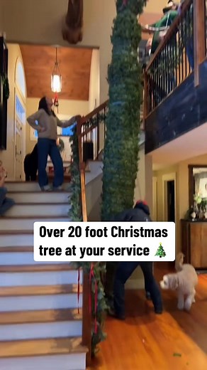 Spectacular 20-Foot Christmas Tree at Barstool Outdoors
