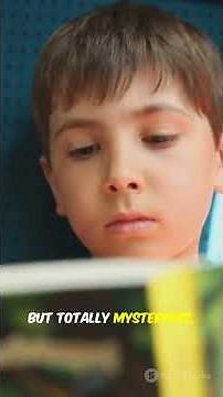 The Codex Seraphinianus: A Book No One Can Read 📖