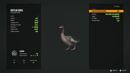 COTW Diamond 💎 🏆 ** Greylag Goose ** #callofthewild #cotwgreylaggoose #diamond #grind #goosehunting