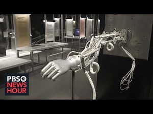 New MIT Museum showcases latest scientific advancements