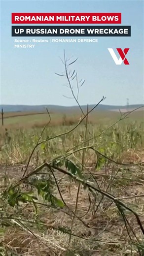 Romania Destroys Russian Drone Fragments Found Near Ukraine Border | VERTEX
