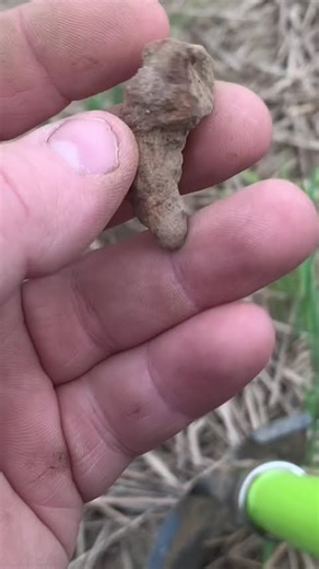 Possible Iron Roman fibula found metal detecting Scotland xp deus