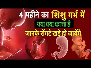 4 महीने का बच्चा गर्भ के अंदर क्या क्या करता है || Baby Development In Womb By 4 Month Of Pregnancy