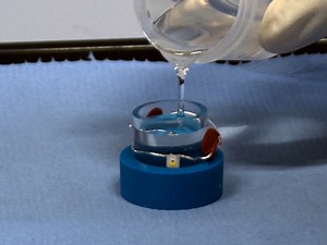 In Depth Analyses of LEDs by a Combination of X-ray Computed Tomography CT and Light Microscopy LM Correlated with Scanning Electron Microscopy SEM