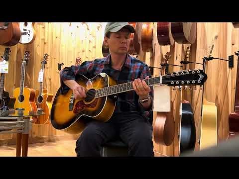 Testing Guild F2512E 12 string