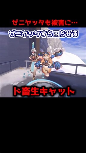 ついに猫の被害に遭ったゼニヤッタさん…#Shorts#オーバーウォッチ
