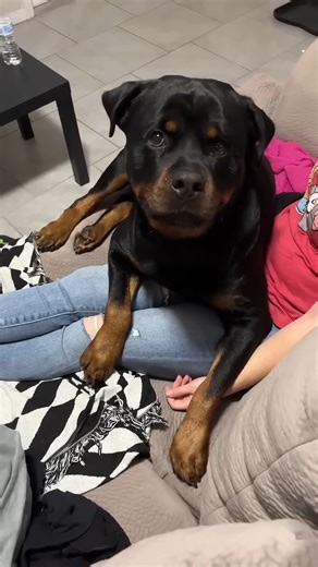 Kott The Rott on Reels