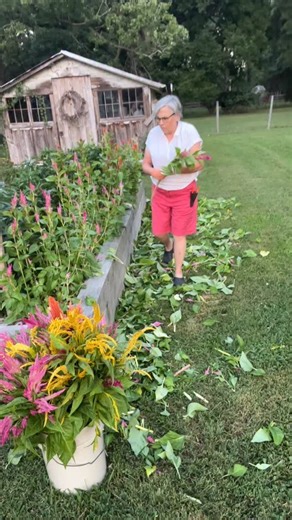 Where did all those flowers go week after week? Sold Sold! Comment SALES for my free masterclass link: ‘Where to Sell Cut Flowers’. Flower farmers have to sell week after week... It is easier to hustle when you get results. I sold over 10,000 stems a week in season for years. Let’s look at who’s buying flowers—- comment SALES or TheGardenersWorkshop.com #gardenersworkshopfarm | The Gardener's Workshop