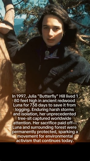 The Woman Who Lived in a Tree for 2 Years | Discovery Timelines | Facebook