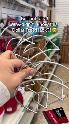Genius Dollar Tree Hacks for Home Organization