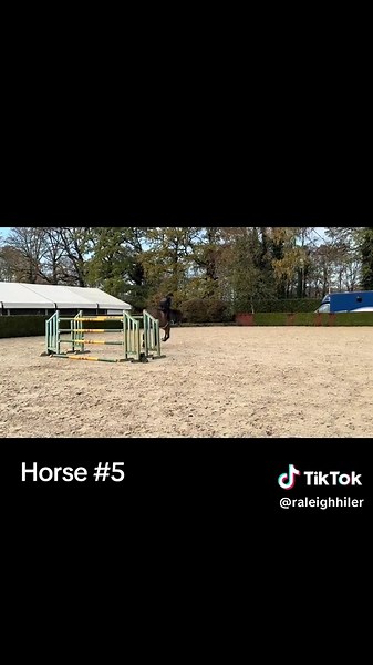Day 2 of trying horses in Europe!! 🇧🇪🐴🐎 #equestriansoftiktok #equestrianlife #horsegirl #riding #horsesontiktok