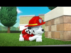 Paw Patrol: Marshall Sleeping in 3 Minutes